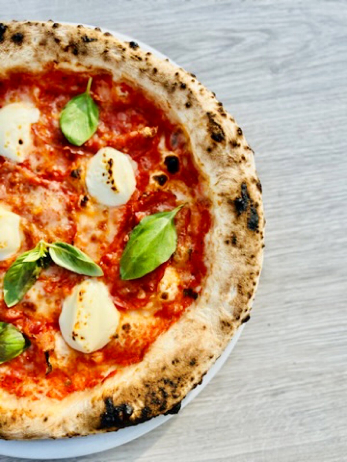 Margherita pizza — fior di latte mozzarella, fresh basil, cornicione